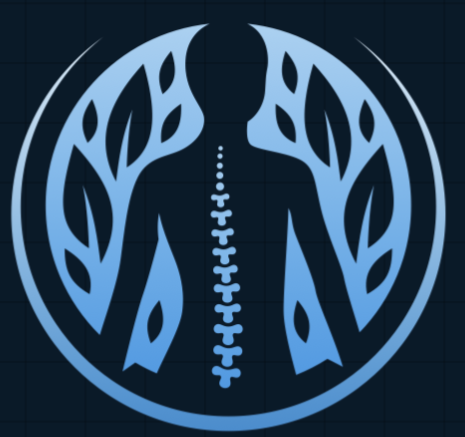 Brady Chiropractic Logo